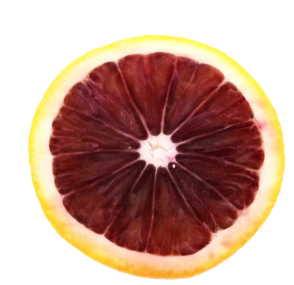 BLOOD ORANGE- 5 pound Cloth Bag